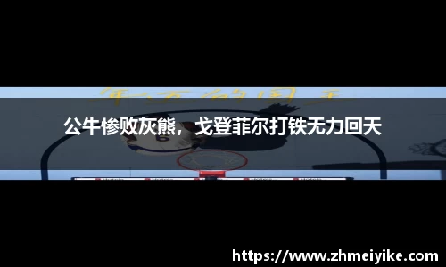公牛惨败灰熊，戈登菲尔打铁无力回天