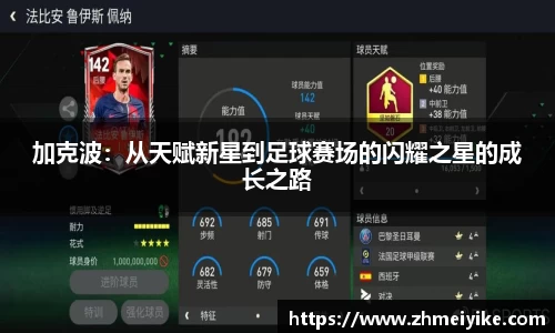 完美体育登录入口