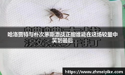 完美体育官网