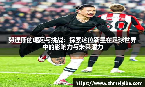 完美体育登录入口