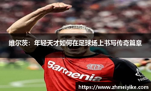 完美体育登录入口