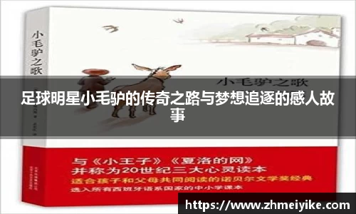 完美体育官网
