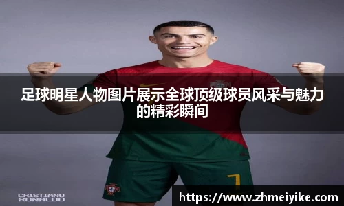 完美体育登录入口